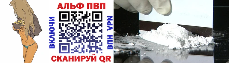 Альфа ПВП СК  Гусев 