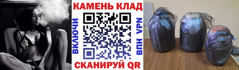 купить наркоту  Гусев  ГАШИШ Изолятор 