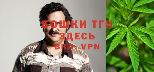 шишки Верхний Тагил