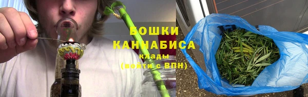 шишки Верхний Тагил
