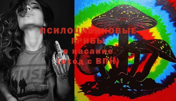 шишки Верхний Тагил
