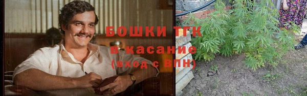 шишки Верхний Тагил