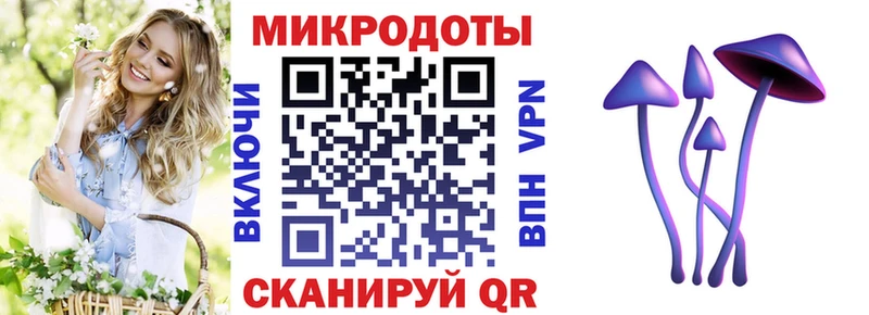 Галлюциногенные грибы Cubensis  наркошоп  Гусев 